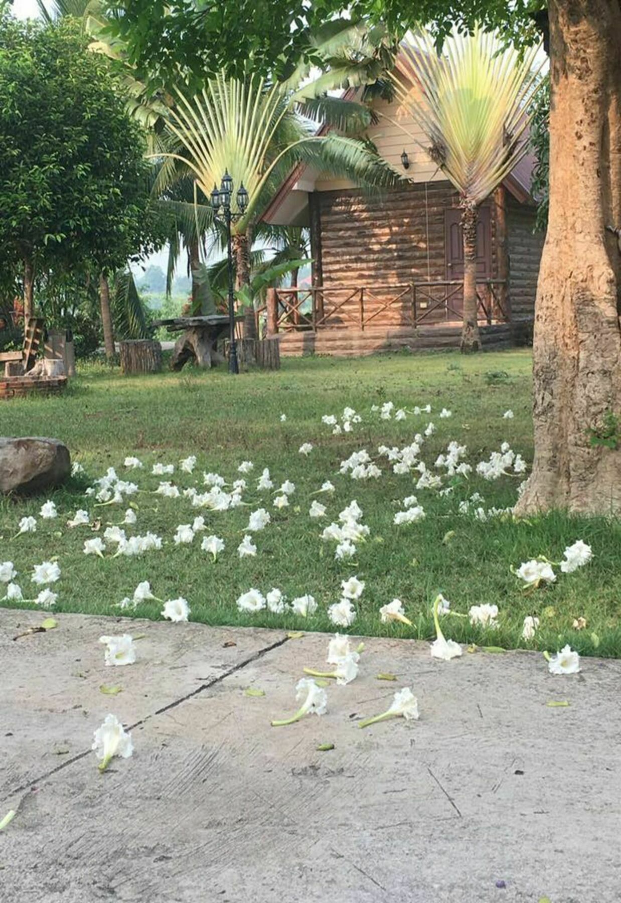 Bansuan Chomdao Resort Khon Kaen Exterior foto